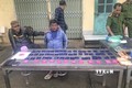 Điện Biên bắt giữ đối tượng vận chuyển trái phép ma túy tổng hợp