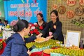 Gian hàng trưng bày giới thiệu sản phẩm hồng không hạt Bảo Lâm tại ngày hội. Ảnh: Quang Duy - TTXVN
