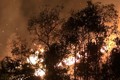 Kịp thời dập tắt đám cháy rừng trong đêm ở Điện Biên