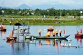Nhiều hoạt động hưởng ứng Ngày môi trường thế giới và Tuần lễ biển, đảo Việt Nam tại Quảng Nam 
