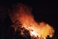 Vụ cháy rừng tại Lâm Đồng gây thiệt hại khoảng 2ha rừng nghèo kiệt