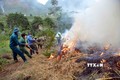 Sơn La hạn chế thấp nhất thiệt hại do cháy rừng