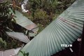 Hàng trăm ngôi nhà ở Sơn La bị tốc mái, đổ sập do dông lốc và mưa to