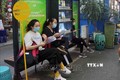Đường sách Thành phố Hồ Chí Minh: Điểm sáng về phát triển văn hóa đọc 