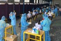 Các y bác sỹ Trung tâm kiểm soát bệnh tật TP Hồ Chí Minh và Quận 7 thực hiện xét nghiệm sàng lọc COVID-19 ngẫu nhiên cho công nhân Công ty TNHH Solen Việt Nam ở Khu chế xuất Tân Thuận ngày 3/6. (Ảnh minh họa)