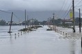 Ngày 15/11, mưa lớn đã khiến vùng hạ lưu các sông trên địa bàn tỉnh Bình Định ngập sâu, nhiều tuyến đường bị chia cắt, một số khu dân cư bị cô lập. Ảnh: Tường Quân - TTXVN