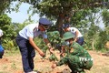 Trồng 2.000 cây xanh tại các đơn vị Bộ đội biên phòng tỉnh Đắk Lắk