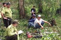 Kiên Giang ngăn chặn, xử lý hành vi xâm hại tài nguyên rừng