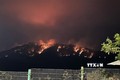 10 ha rừng thông bị ảnh hưởng sau vụ cháy trên đèo Prenn Đà Lạt