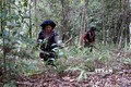 Tạo sinh kế cho người bảo vệ rừng