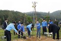 Chủ tịch Quốc hội Vương Đình Huệ dự Lễ khởi động Tháng Thanh niên và Tết trồng cây Đời đời nhớ ơn Bác Hồ