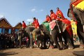 Ấn tượng Hội voi và Lễ hội Văn hóa truyền thống các dân tộc huyện Buôn Đôn