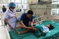 Vụ sạt lở đất nghiêm trọng tại Hà Giang: Xác định được danh tính 10 người tử vong và 4 người bị thương