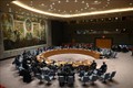 联合国安理会就委内瑞拉局势召开视频会议 越南支持进行对话寻找长期和平解决方案
