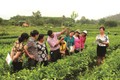 河内重视提升农村劳动者职业培训工作效果