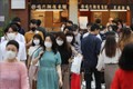  日本NHK: 日本拟放宽对越南的入境限制