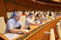 越南第十四届国会第九次会议通过首都河内试行若干特殊财政预算机制和政策