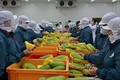 越南蔬果对“荷刻”市场的出口增长良好