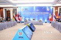 2020东盟轮值主席国：东盟维和中心网络视频会议在河内举行