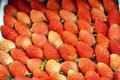 林同省公安查获一批来历不明的草莓运往大叻市销售