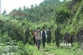 河江省发现非法入境逃避隔离的14名嫌疑人