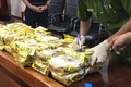  越南成功侦破一起特大跨国贩运毒品案