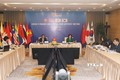  东盟与中日韩财政部副部长与央行副行长会议在河内举行