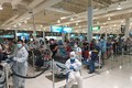 新冠肺炎疫情：在阿联酋的260名越南公民安全回国