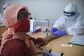 印尼投入3.39亿美元用于生产新冠肺炎疫苗