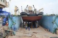 越南现代造船公司的产品远销全球16个国家