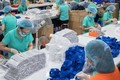 2020年前7月越南医用口罩出口超过7亿