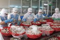  12家越南企业重新获批向沙特阿拉伯出口海产品