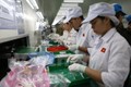 越南经济在新冠肺炎疫情暴发时仍稳定增长