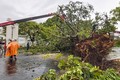 第五号台风今早登陆越南导致1人死亡多人受伤