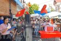 新冠肺炎疫情：越南无新增确诊病例