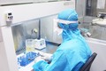 越南卫生部批准新冠病毒检测计划