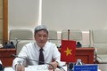 越南卫生部与世界卫生专家就在疫情的背景下非传染性疾病的治疗问题展开讨论