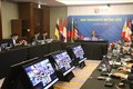 东盟联合磋商会和东盟协调委员会工作组第十次会议以视频方式召开