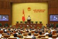 越南第十四届国会第十次会议： 国会进入质询和询问活动的第二天