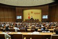  越南第十四届国会第十次会议讨论《禁毒法》（修正案）