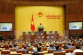 越南第十四届国会第十次会议：越南国会批准关于胡志明市采用城市政府组织形式的决议