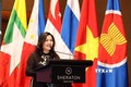 ASEAN 2020：维护东盟妇女和儿童的合法权益