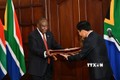  努力促进越南与南非“致力于合作与发展伙伴”关系