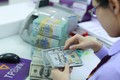 越南国家银行今年首次大幅下调美元买入价