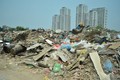 越南政府总理发布有关加强固体废物管理的紧急指示
