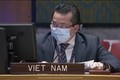 越南对刚果的暴力和动荡局势表示担忧