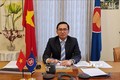 2020年东盟主席年：越南担任东盟基金信托委员会主席