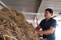 洪灾退后广平省农民一直努力恢复生产