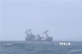 巴拿马籍货轮在平顺省富贵岛附近沉没事故：已找到10名船员