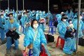 新冠肺炎疫情：将在欧洲、非洲和南美洲的近280名越南公民接回国
